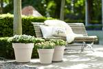 green basics top planter 40cm katoen wit